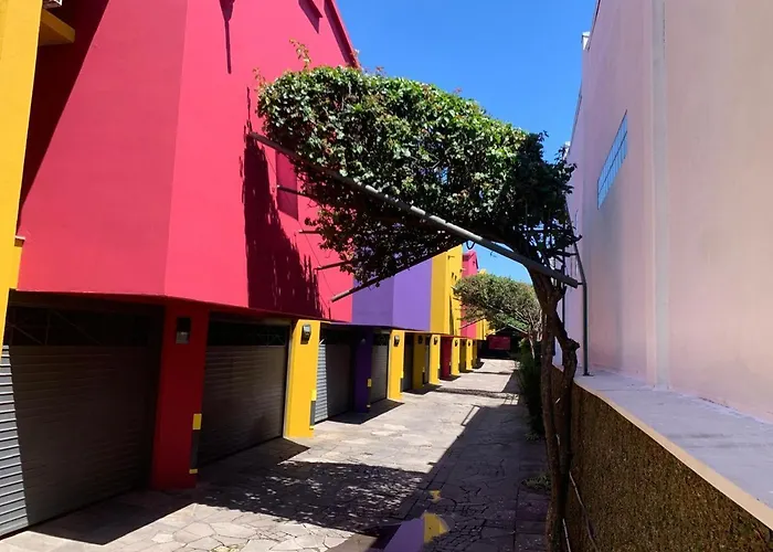 Viva Seu